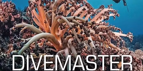 Divemaster 