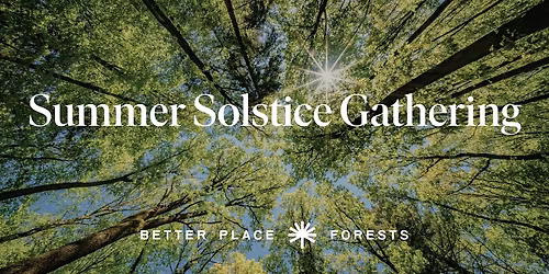 Flagstaff Memorial Forest | Summer Solstice Gathering