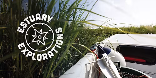 Estuary Explorations