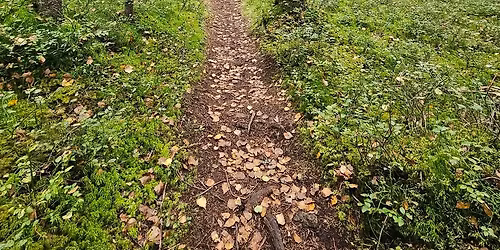 S\u00f8ndagstur over Lut\u00e5sen til Sarabr\u00e5ten og Hauk\u00e5sen