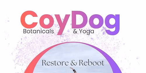 Restore & Reboot: Nervous System Reset Yoga (Morning Series)