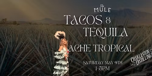 Tacos & Tequila