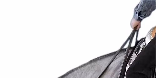 QHASA Diamond Futurity AA Show