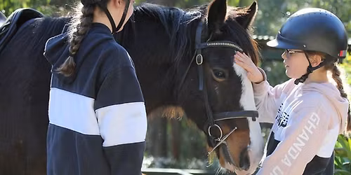 School Holiday Fun Day for Experienced Non-Horse Owners