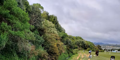 November Walk and W**d