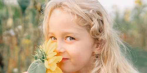 \ud83c\udf3b SUNFLOWER MINIS