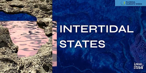 Intertidal States