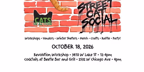 Street Cat Social