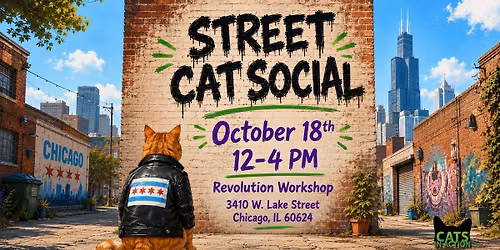 Street Cat Social
