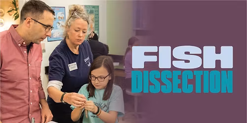 Fish Dissection