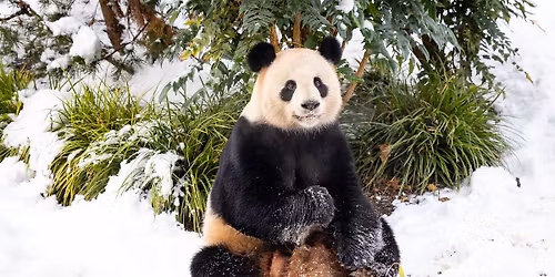 Winterferienprogramm