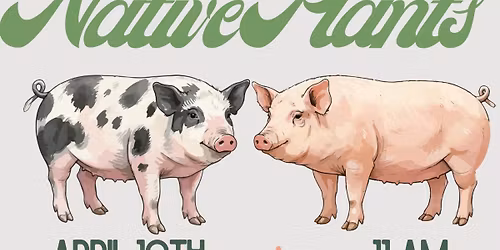 Pigs and Native Plants!