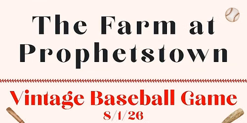 Vintage Baseball Game
