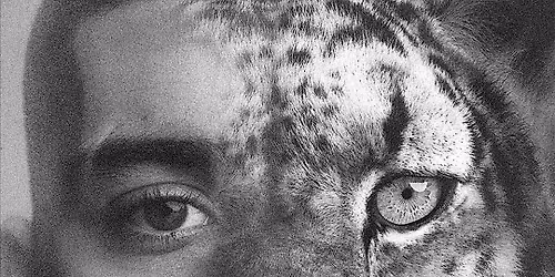 Listening Party: ZAYN "KONNAKOL"