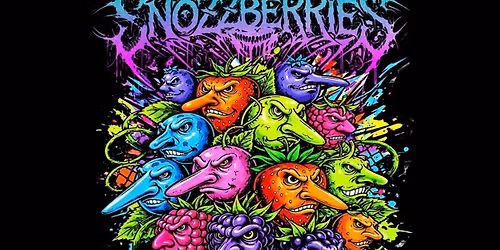 The Snozzberries w Tom Batchelor Band at 123 Pleasant St