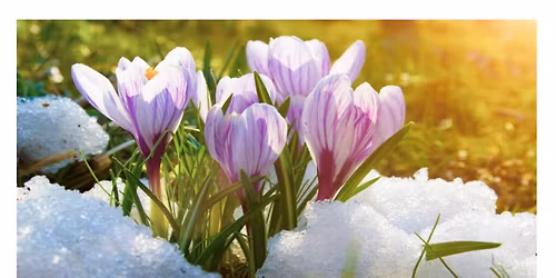 Spring Thaw Vendor Show