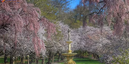 Parking 1776 - The Musical - Wilmington