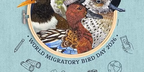 Washtenaw May Count and World Migratory Bird Day