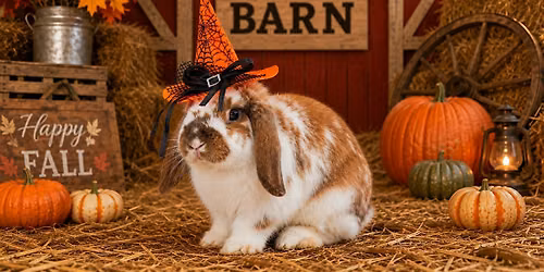 Boo at the Barn