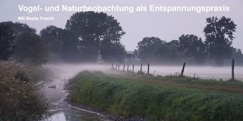 Vogel- und Naturbeobachtung als Entspannungspraxis