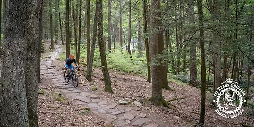 Trans-Sylvania Mountain Bike Epic - 2026 (MTB Stage Race\/Ride)