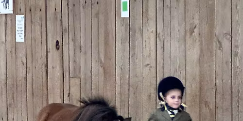 In-Hand & Ridden Grassroots Clinic.