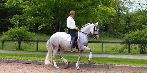 Paul Belasik Dressage Clinic