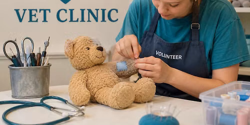 Stuffie Vet Clinic