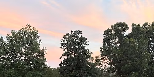 Postponing Schooling Show 