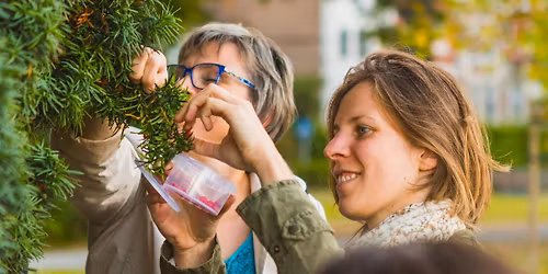 (Complet) Balade "Plantes \u00e9pices" (Namur)