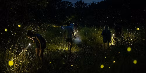 Firefly Walk Nijmegen met de Walk Club