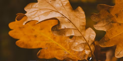 Zvukov\u00e1 l\u00e1ze\u0148 Ko\u0161ice