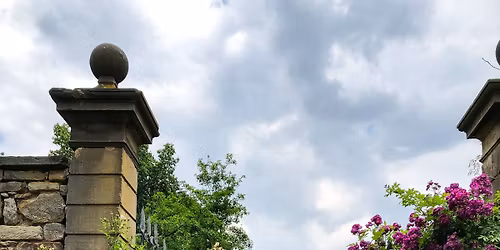 Drei RosenSonntage im Juni