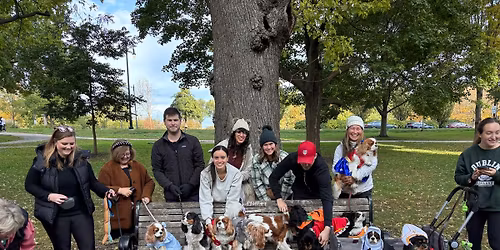 Lincoln Park South\/Gold Coast Cavalier Meetup