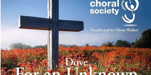 For an Unknown Solidier