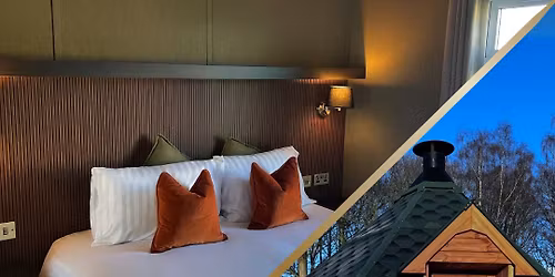 The Sneak Peek Social