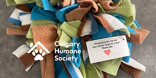 Snuffle Mat Making For Your Pet