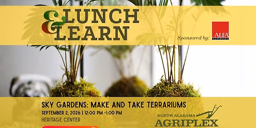 Lunch & Learn: Sky Gardens - Make and Take Terrarium