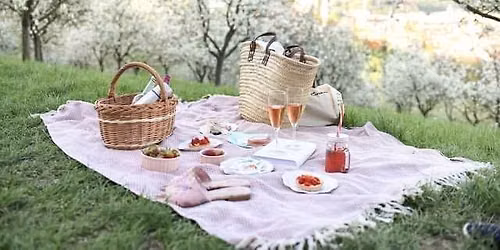 WINE FESTIVAL 2026