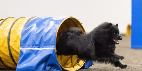 Marko M\u00e4kel\u00e4n Agilityvalmennus