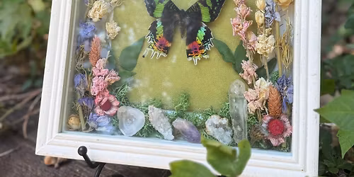 Butterfly Framing \ud83e\udd8b