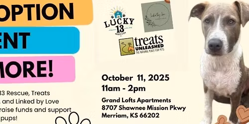 Adoption Meet & Greet at Merriam Grand Lofts Apartments