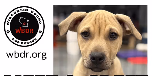 PetSmart Adoption Event