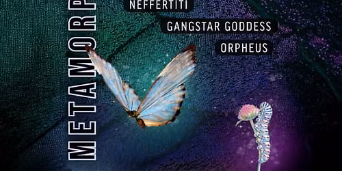 Bounce Empire - METAMORPHOSIS