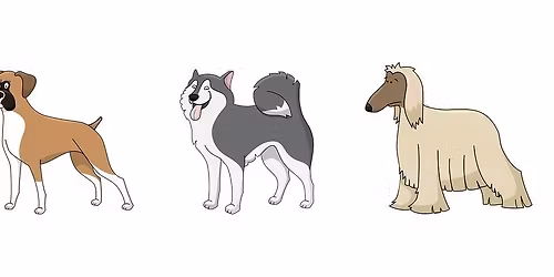 Kev\u00e4tkauden ensimm\u00e4iset n\u00e4yttely \/ sosiaalistamisharjotukset (kaikille avoimet) Loppiaisena 2026