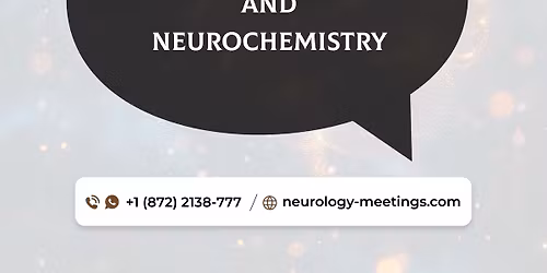 Neurochemical Pathways and Pharmacological Innovations: Unlocking the Brain\u2019s Potential