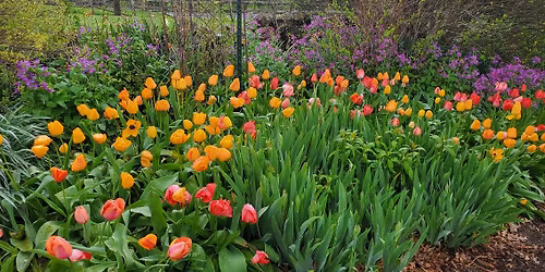 WOMEN\u2019S LEAGUE SPRING FLING AND PLANT AUCTION