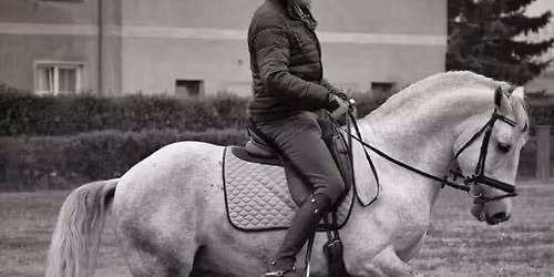 Drezurn\u00ed soust\u0159ed\u011bn\u00ed Harald Czikeli (s p\u0159ekladem)