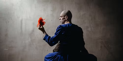 LUSTRO. Festiwal Sakura 2026