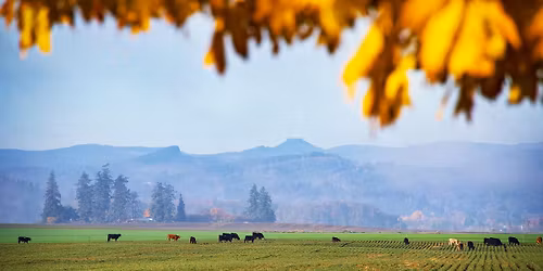 Legacy Estates "All Hills" 7k\/3k\/1-mile